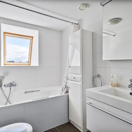 Karthuizer V3 P Ferienhaus Oostduinkerke