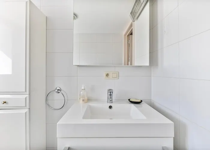 Karthuizer V3 P Dom wakacyjny