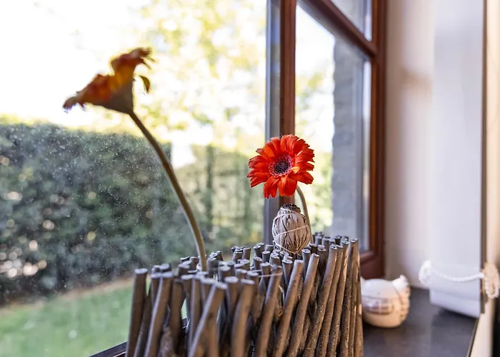 Karthuizer V3 P Oostduinkerke